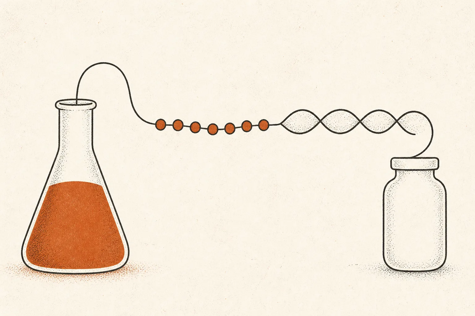 Editorial illustration of a laboratory flask on the left from which a single line travels rightwards, becoming a row of linked beads, then a twisted double strand, then a plain medicine vial at the right edge