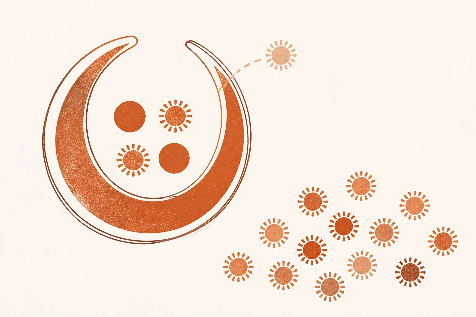 Illustration of a large crescent-shaped binding site cradling small round shapes, some drawn with radiating spokes and some left plain, with one spoked shape drifting away from the crescent