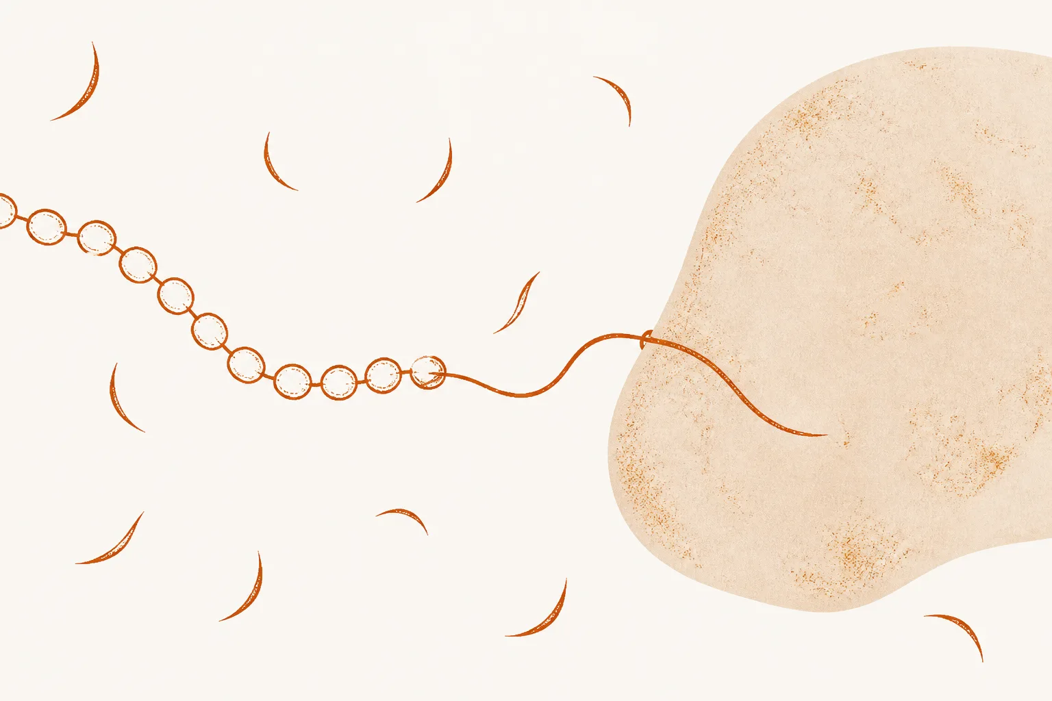 Editorial illustration of a chain of linked beads moored by a fine thread to a much larger soft rounded form, while small sharp crescent shapes approach the chain and fall away
