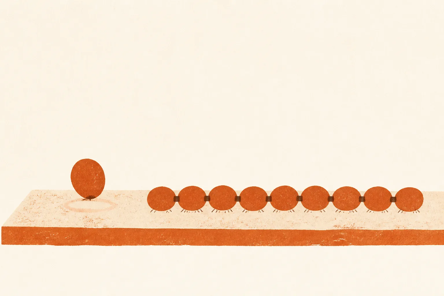 Illustration contrasting a small round pebble-like shape resting on a wide flat plane, touching it at a single point, with a long segmented ribbon lying along the same plane and meeting it all the way down its length