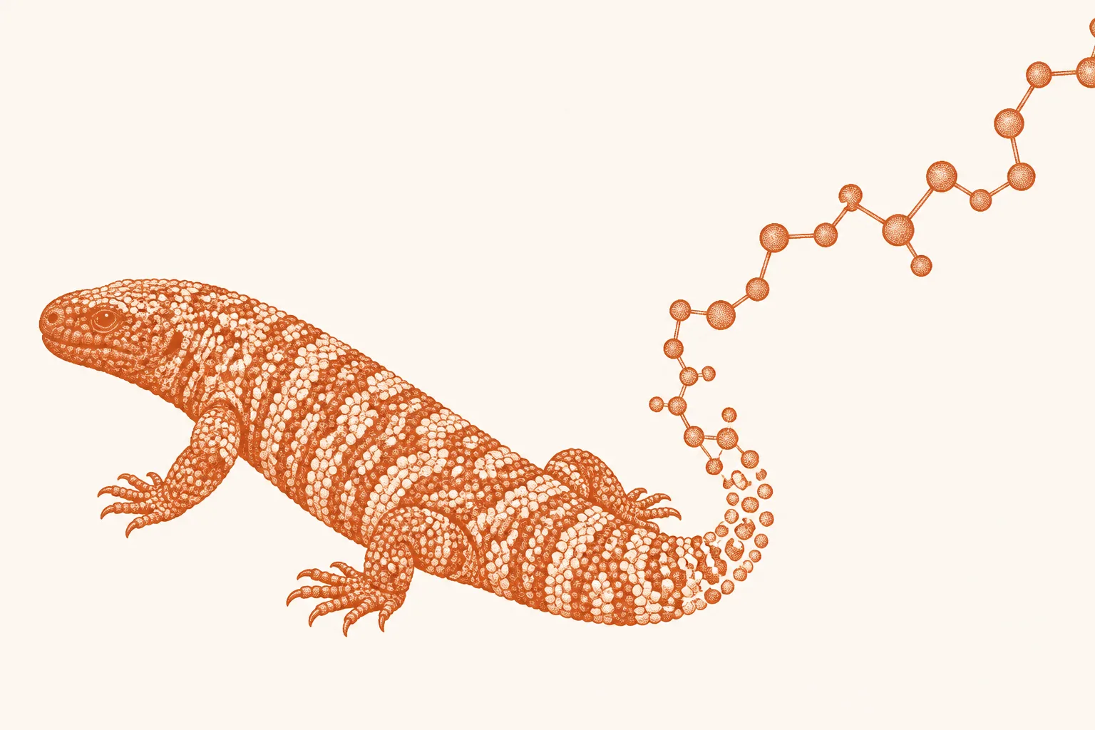 Editorial illustration of a Gila monster in profile whose beaded skin resolves into a chain of linked spheres representing a peptide